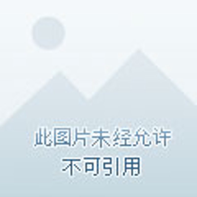 镀锌钢丝绳在工业领域的应用越来越广泛，但许多人对其特性与选择标准知之甚少。今天我们就来深入了解一下这种材料及其使用要点。